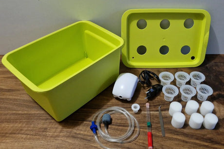 Kit de culture hydroponique à 6 trous NEUNOEIL