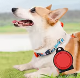 Gamelle pour chien 2 en 1