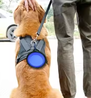 Gamelle simple 1L NEUNOEIL